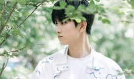 爆料娱乐圈敖子逸,揭秘他的成长之路与璀璨未来